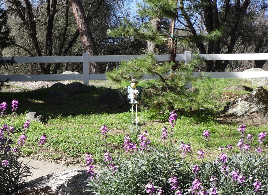 Little Valley Inn Mariposa Exterior photo